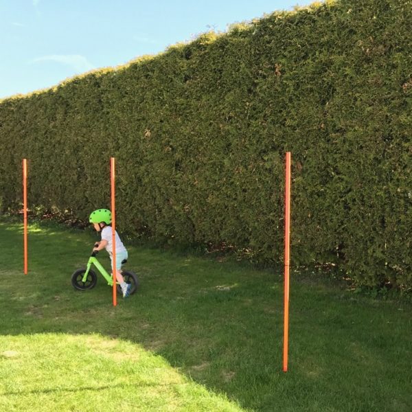 Agility - Bild 2