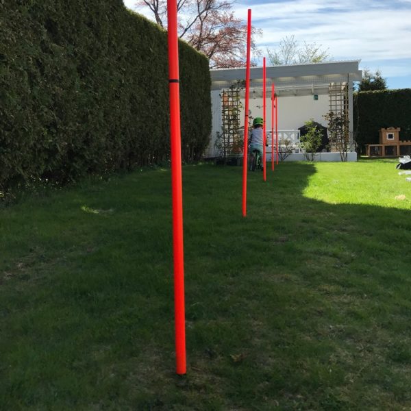 Agility - Bild 3