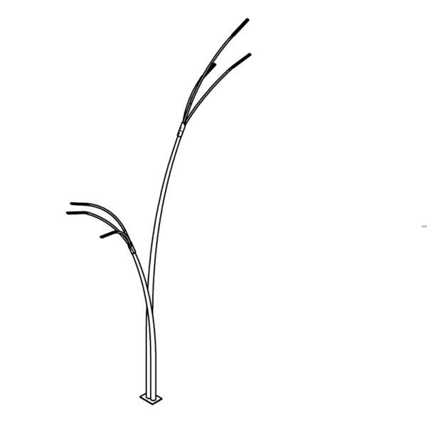 Reed - Bild 6