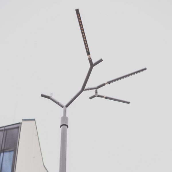 Street - Bild 5