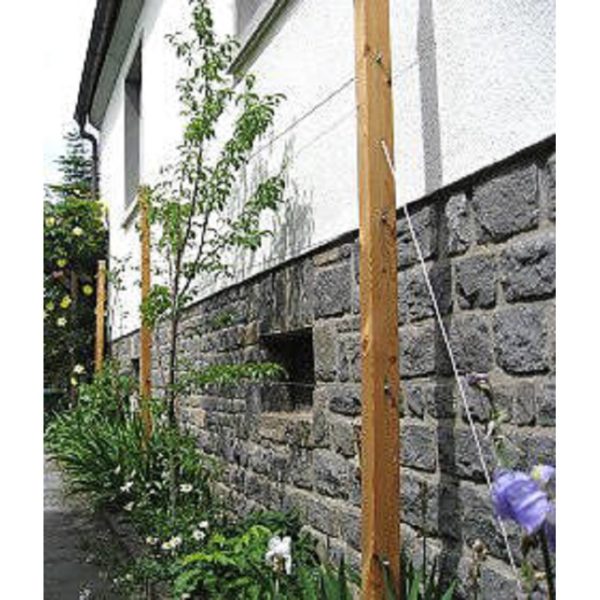 Climber - Bild 6