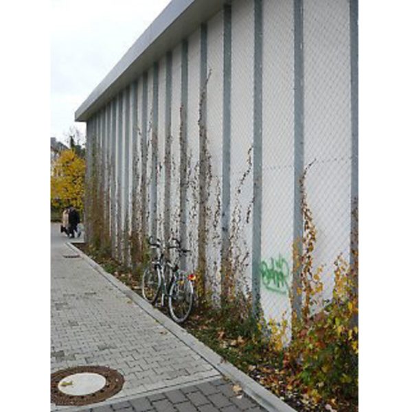 Climber - Bild 3