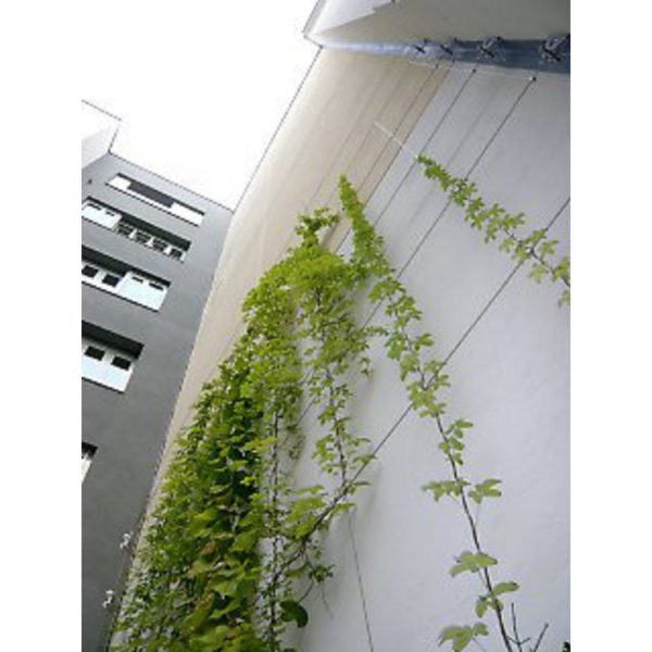 Climber - Bild 2