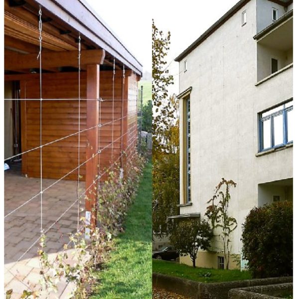 Climber - Bild 12