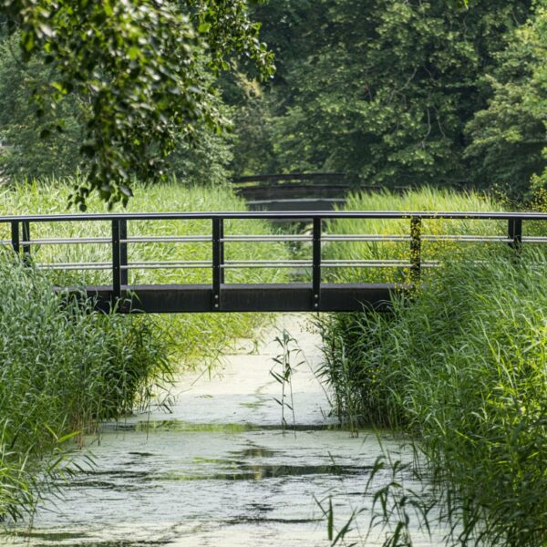 Core broar - Bild 57