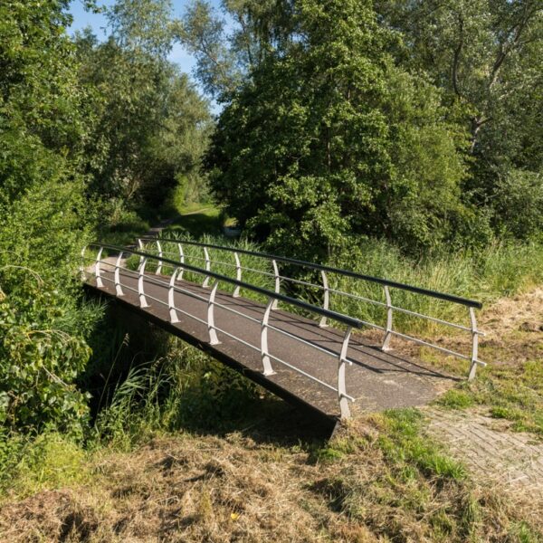 Core broar - Bild 54