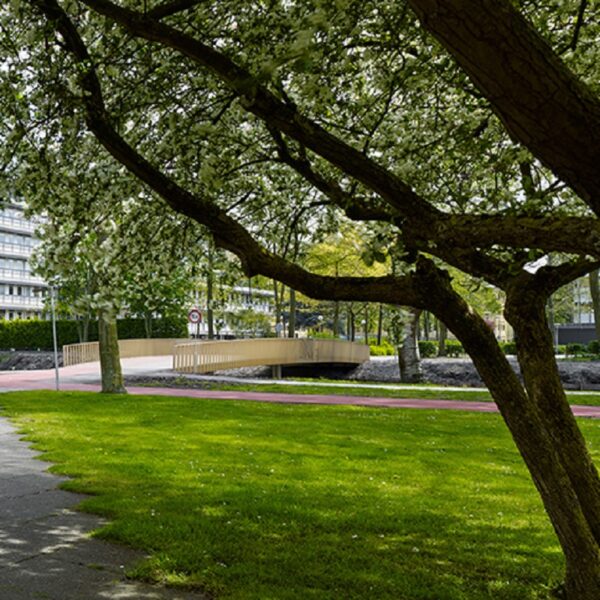 Core broar - Bild 36