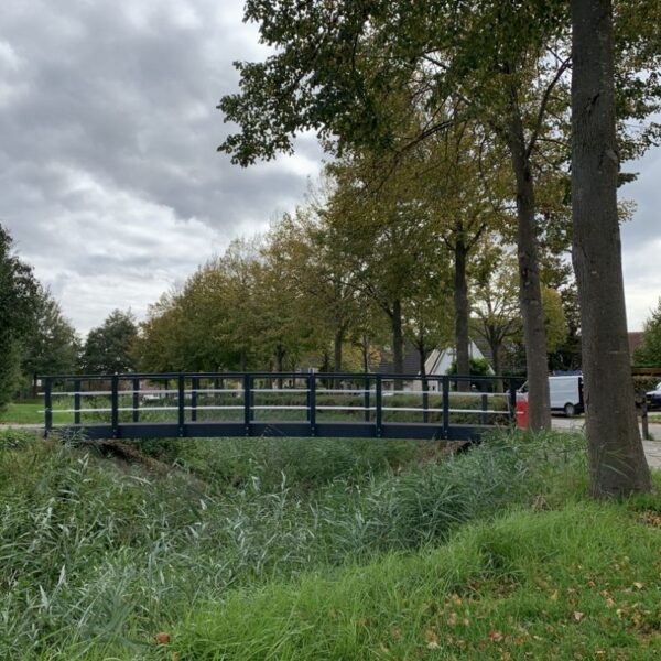 Core broar - Bild 59
