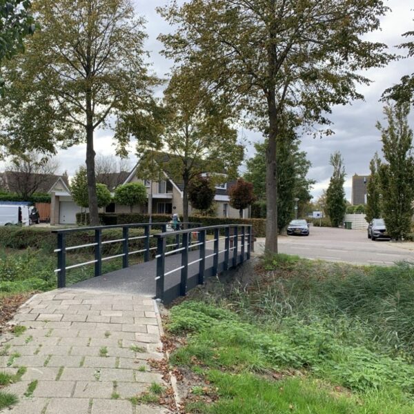 Core broar - Bild 58