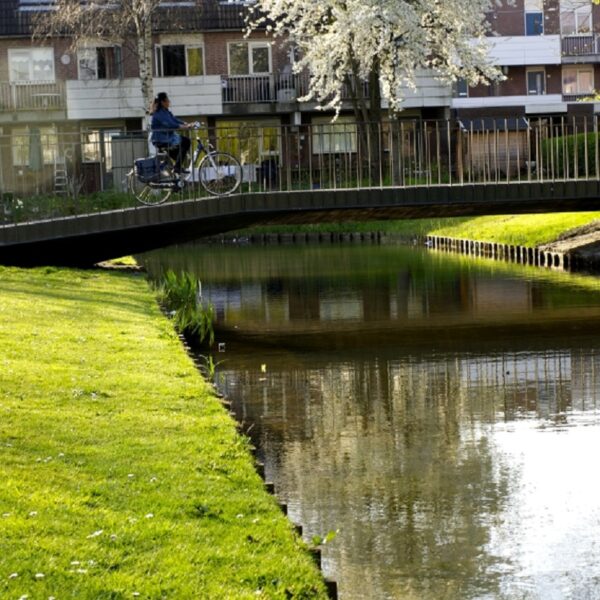 Core broar - Bild 21